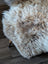 A plush cream-colored british isles sheepskin rug with soft curly texture and natural tone variations