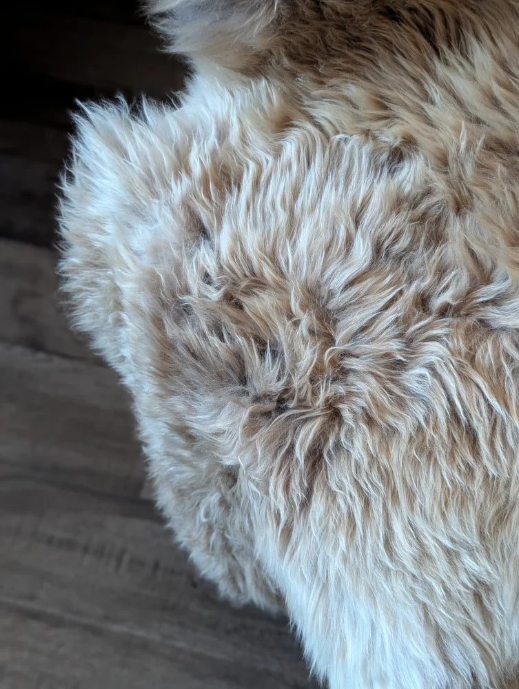A plush british isles sheepskin rug with long soft cream and light brown fur measuring 48 by 33 inches