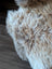A plush british isles sheepskin rug with long soft cream and light brown fur measuring 48 by 33 inches