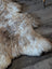 A natural-toned british isles sheepskin rug with soft fluffy texture and irregular edges measuring 48 x 33 inches