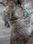 A plush british isles sheepskin rug with natural brown and gray shaggy fur measuring 49 by 29 inches