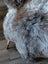 A plush gray and brown british isles sheepskin rug with soft curly texture in 49 by 29 size brit5 model