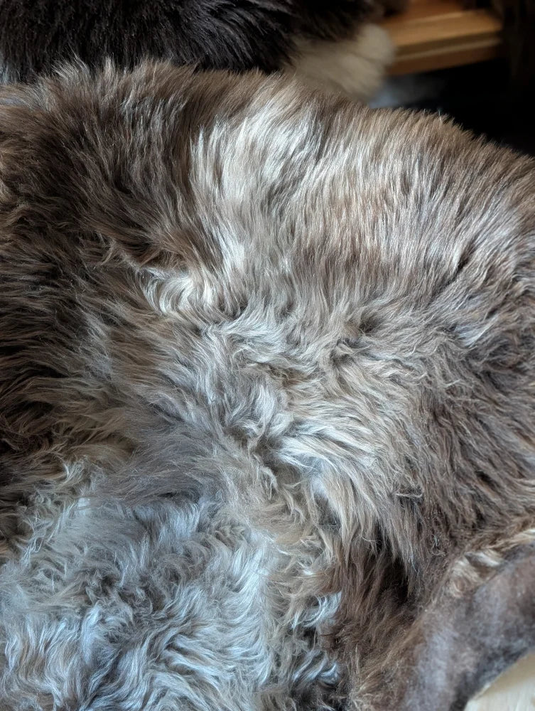 A plush british isles sheepskin rug with curly gray and white fur and a soft natural texture measuring 49 by 29 inches