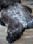 A plush british isles sheepskin rug with natural texture and a gradient from dark gray to silver-gray fur