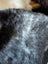 A plush soft gray british isles sheepskin blanket with dense curly fur measuring 47 by 31 inches