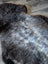 A plush british isles sheepskin rug with natural texture and gradient dark brown to light gray fur measuring 47 by 31 inches