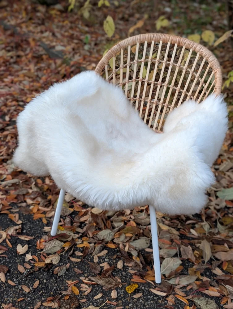 White fluffy british isles sheepskin throw draped over a woven wicker chair with white metal legs