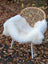 White fluffy british isles sheepskin throw draped over a woven wicker chair with white metal legs