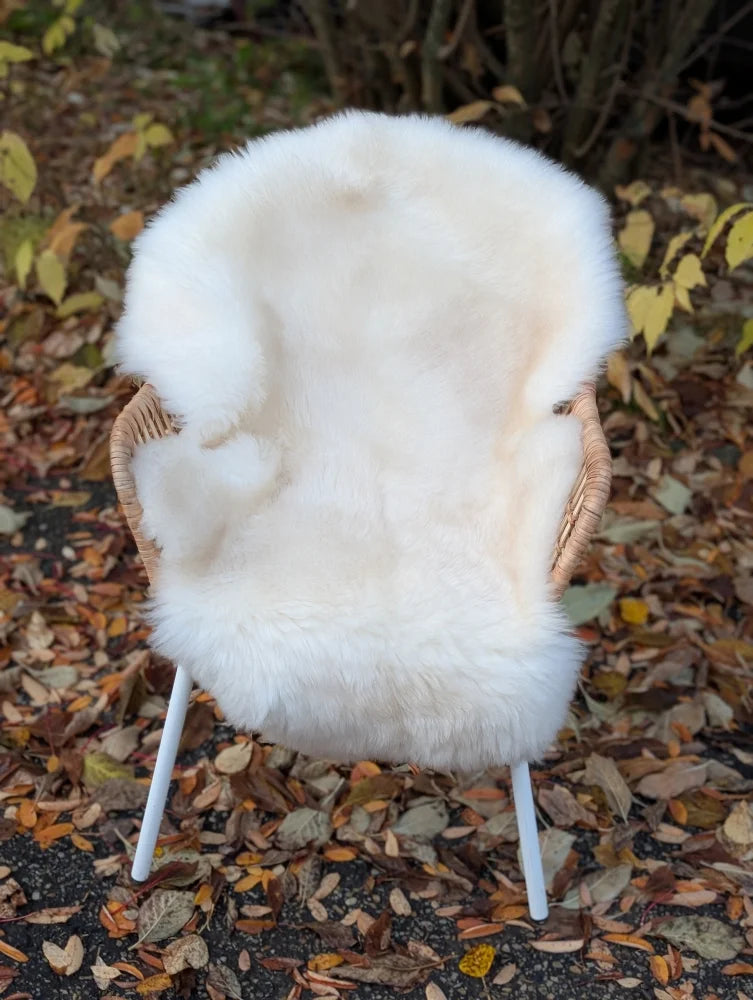 A plush off-white british isles sheepskin blanket draped over a wicker chair with white metal legs