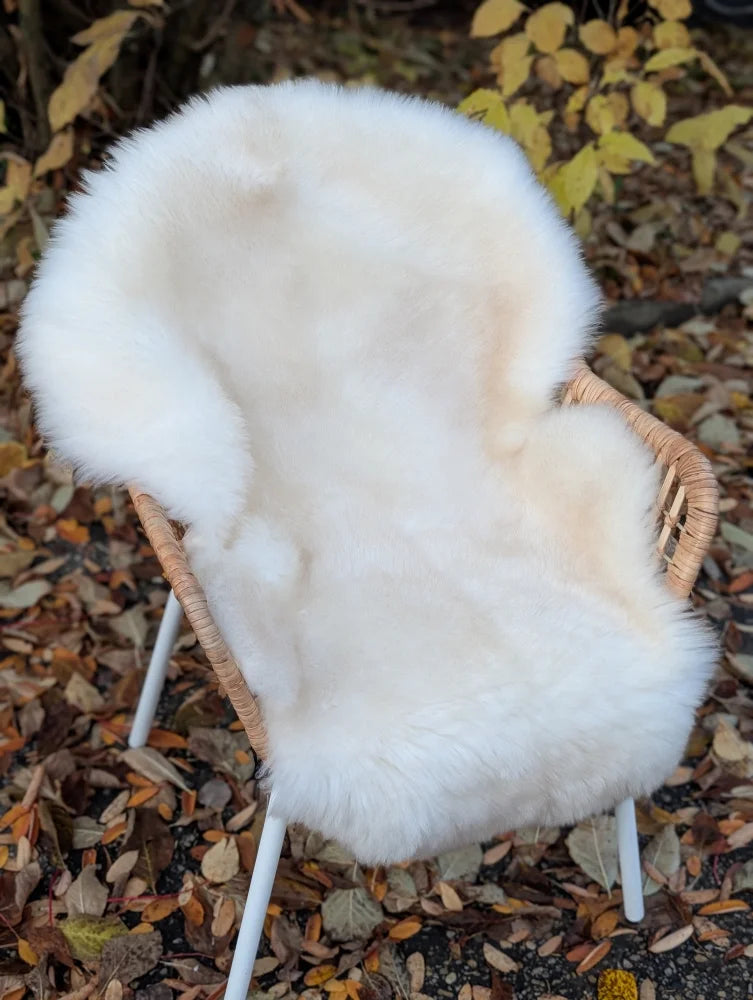 White fluffy british isles sheepskin chair cover draped over wicker chair with white legs very soft texture