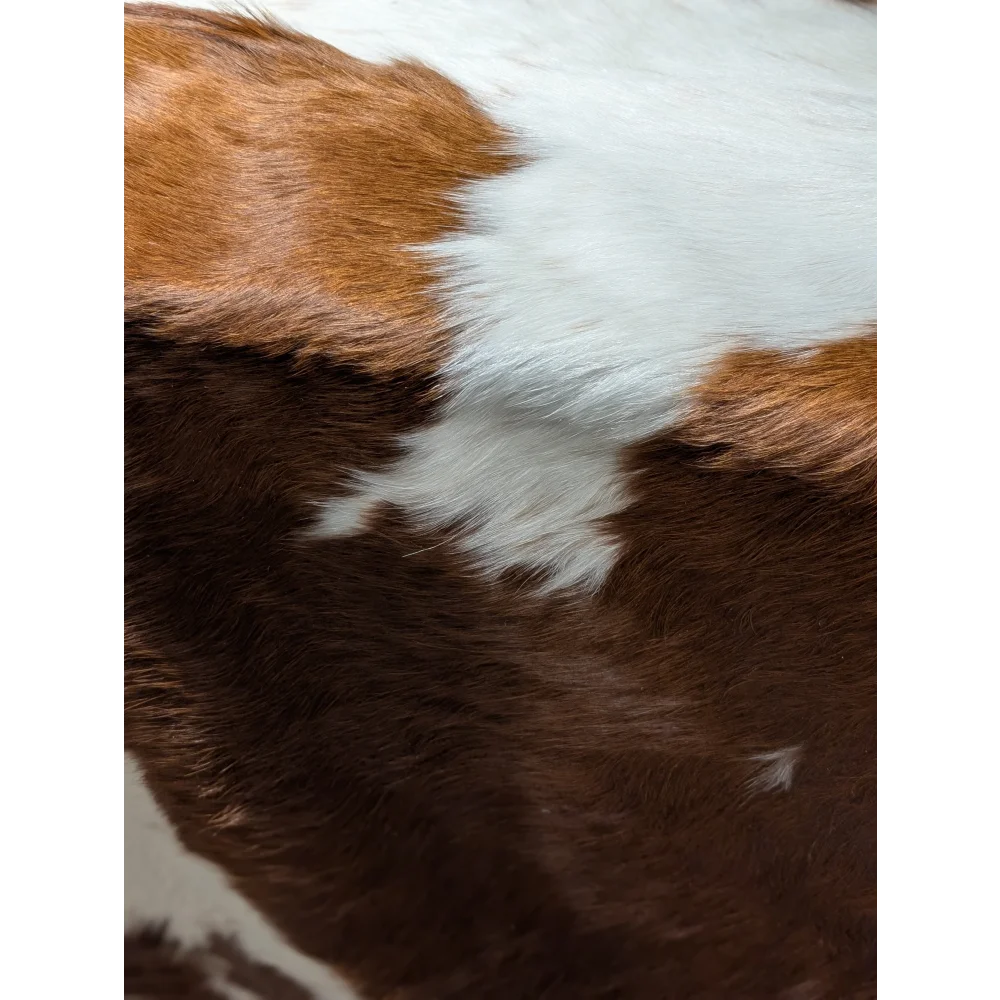 Extra large cowhide rug with brown and white patches, leather texture