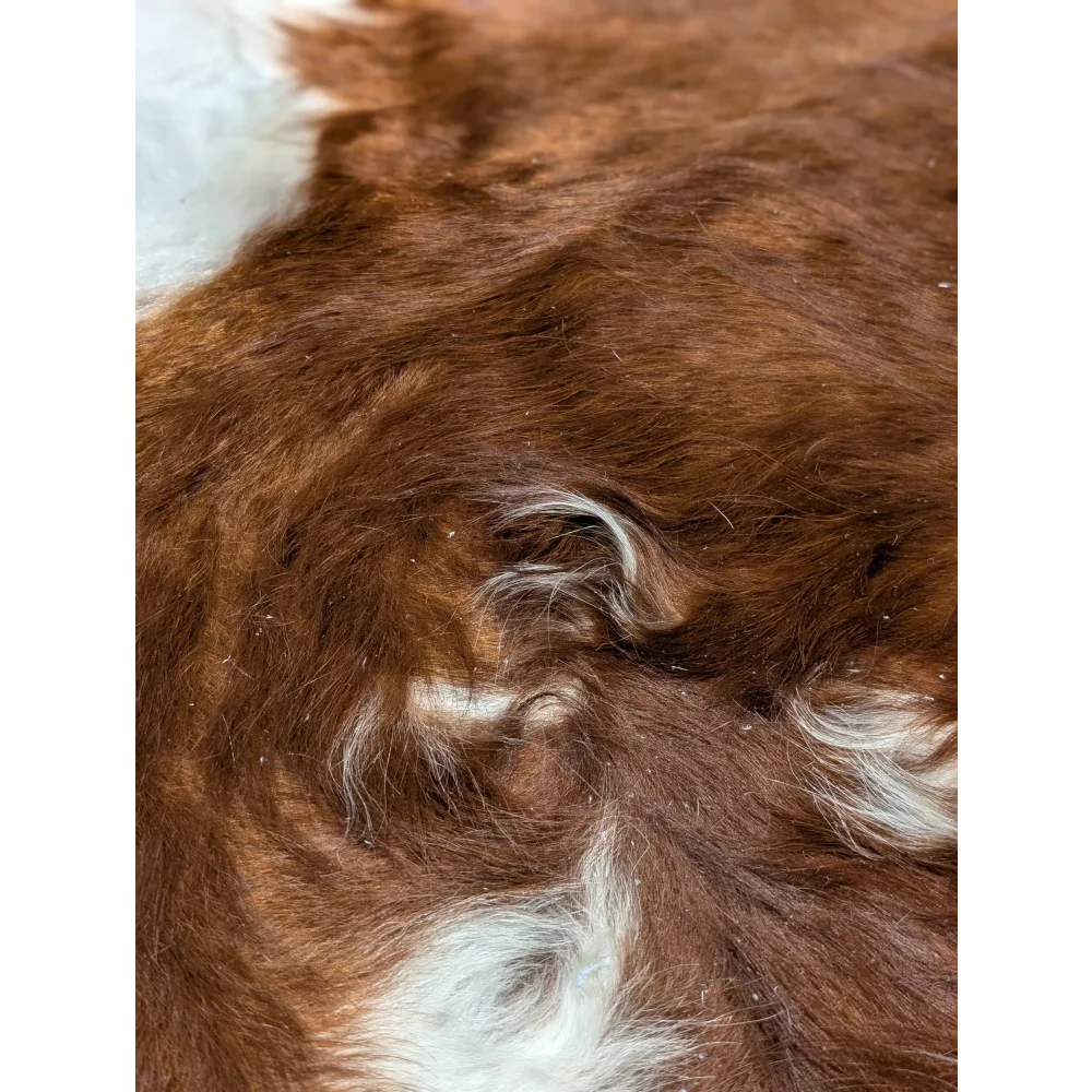 Brown fluffy dog fur on extra large cowhide rug with white patches