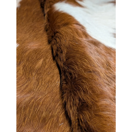 Extra large cowhide rug: brown horsehide pad with white spots, black border