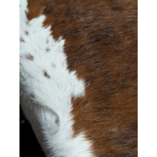 Gorgeous extra large cowhide rug in brown and white, soft underfoot with unmistakable aura