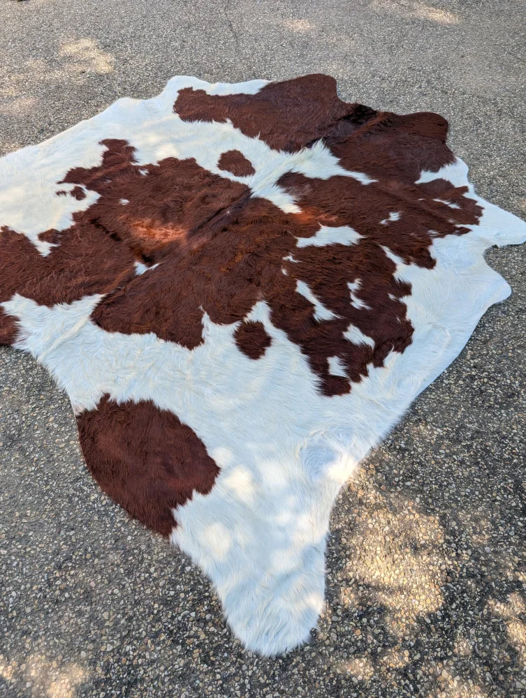 Large brown and white angus oliver cowhide rug brnwht 304 with natural longer haired fur and rustic charm