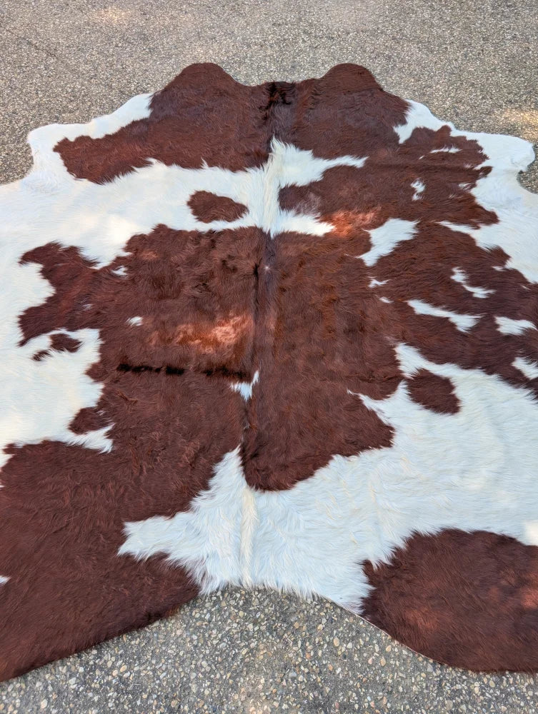 Brown and white longer haired large cowhide rug brnwht 304 by angus oliver adds rustic charm with natural fluffy texture