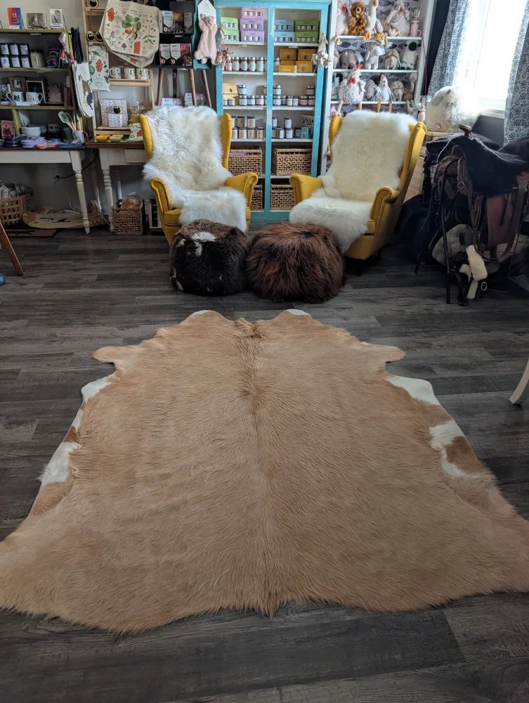 A large cowhide rug with beautiful tan and white colors and unique characteristics lies flat showcasing its soft texture