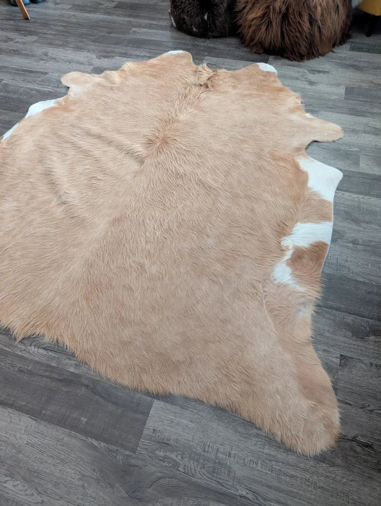 A large cowhide rug 82 by 77 inches with a natural tan and white fluffy texture and unique characteristics