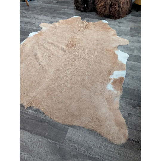 A large cowhide rug 82 by 77 inches with a natural tan and white fluffy texture and unique characteristics