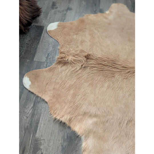 Large cowhide tan rug with white tipped edges and fluffy texture showing unique characteristics for beautiful rugs