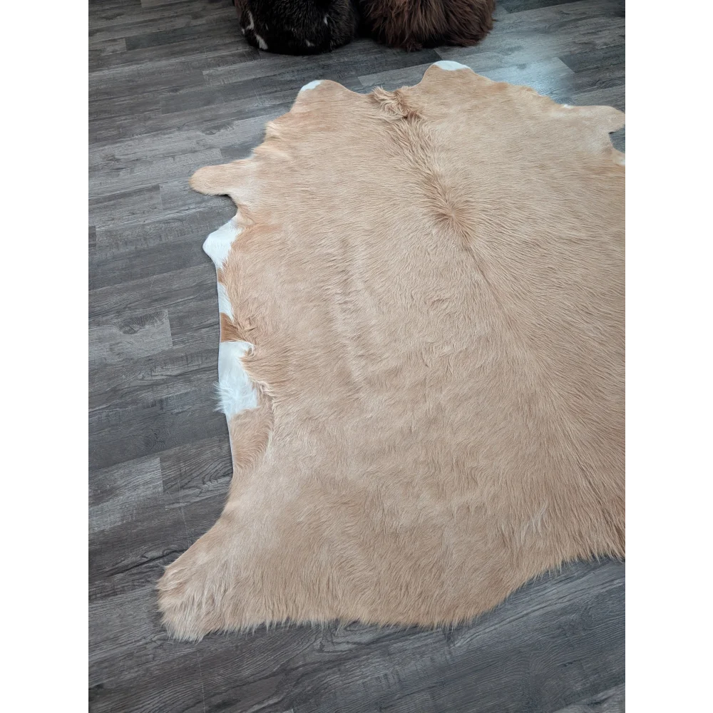 A large cowhide rug in tan and white with beautiful fluffy texture and unique characteristics for stylish decor