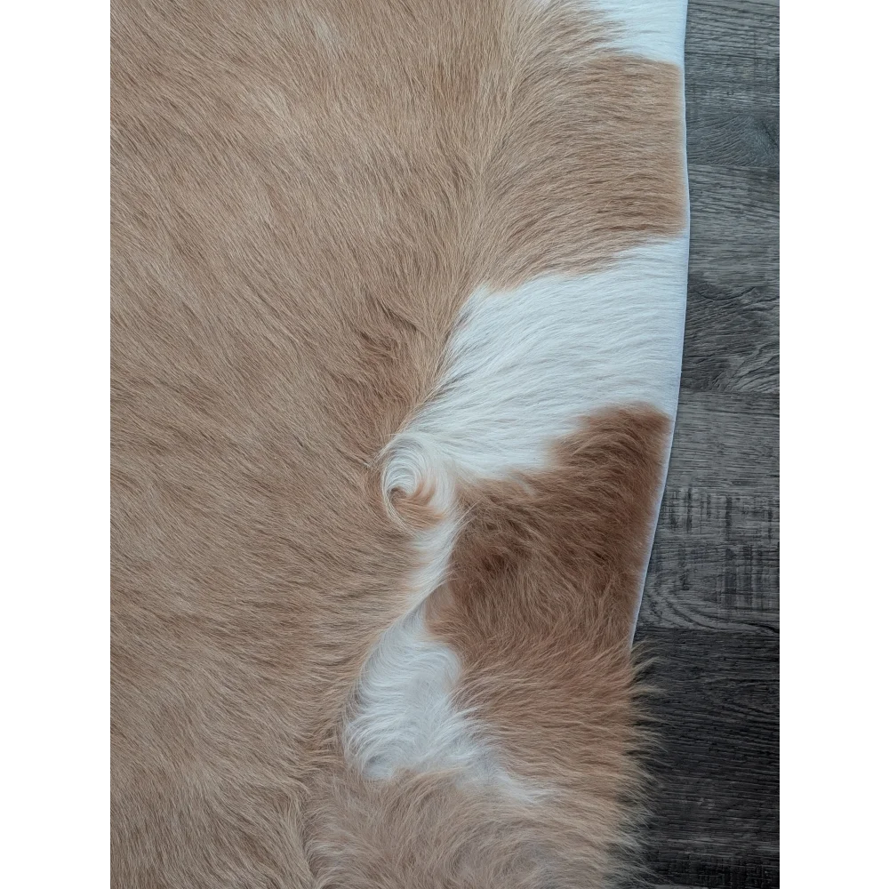 A large cowhide rug 82 by 77 inches with beautiful tan and white natural fur texture and unique characteristics