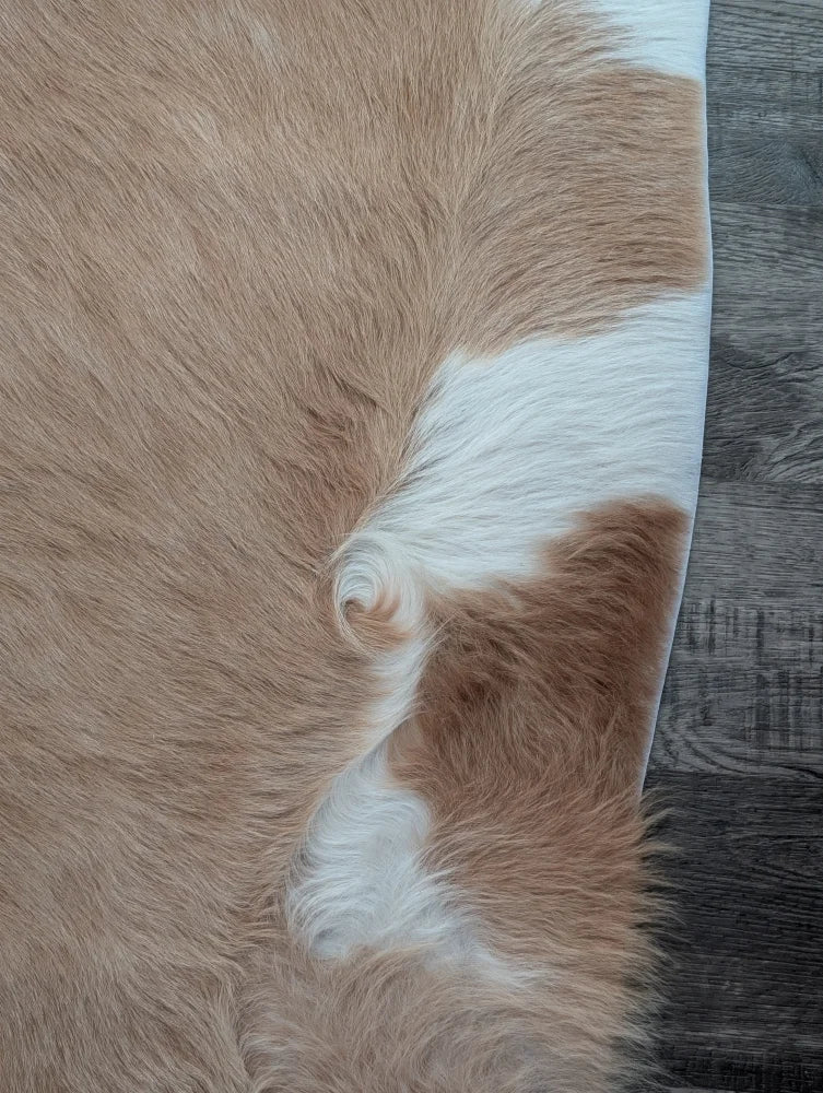 A large cowhide rug 82 by 77 inches with beautiful tan and white natural fur texture and unique characteristics