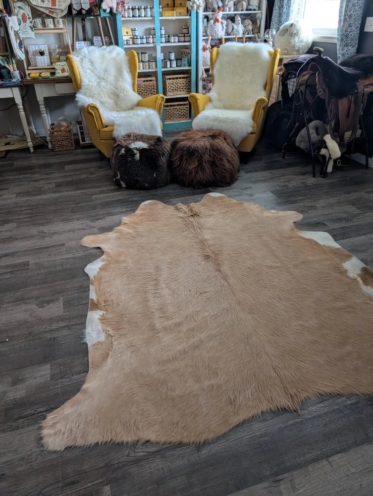 A large tan and white cowhide rug with unique characteristics lies flat showing a beautiful rug for any room