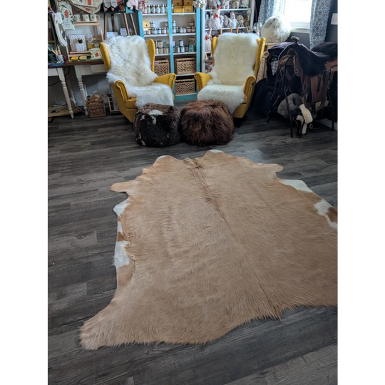 A large tan and white cowhide rug with unique characteristics lies flat showing a beautiful rug for any room
