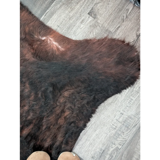 A large cowhide rug with beautiful brown and black fur showcasing unique characteristics on a gray wood floor