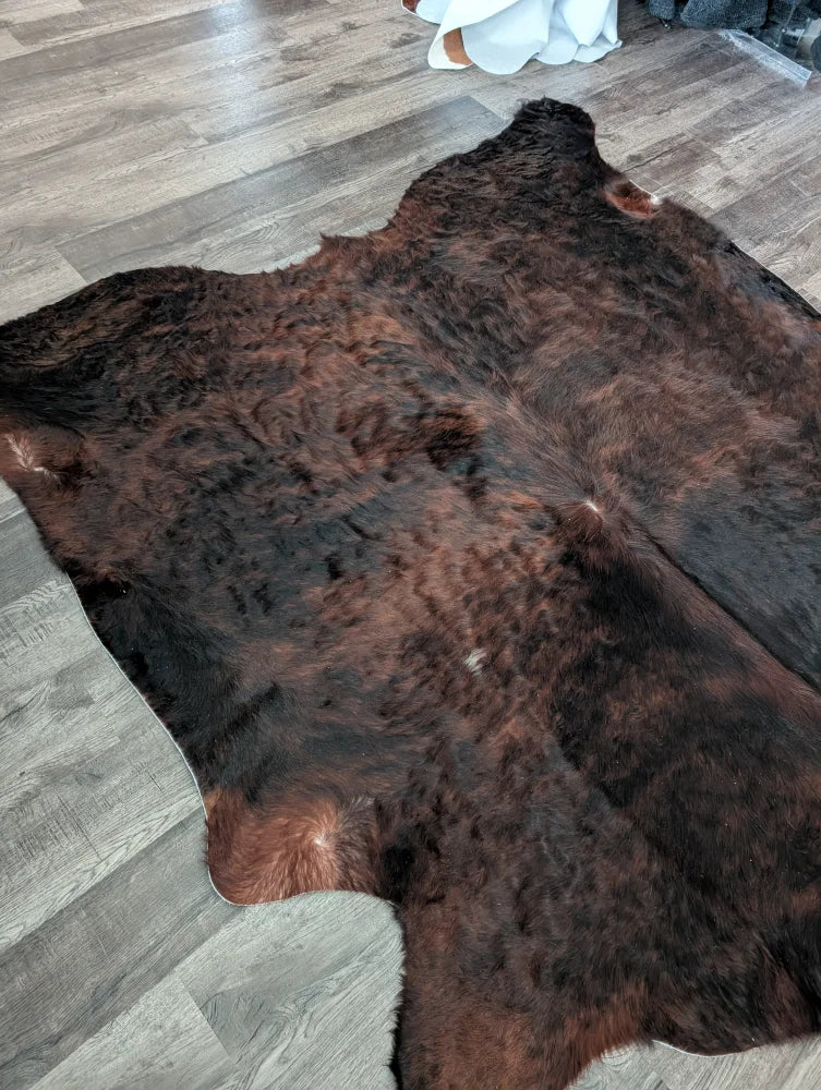Large cowhide rug in rich dark brown with unique characteristics and natural textured fur perfect for beautiful rugs