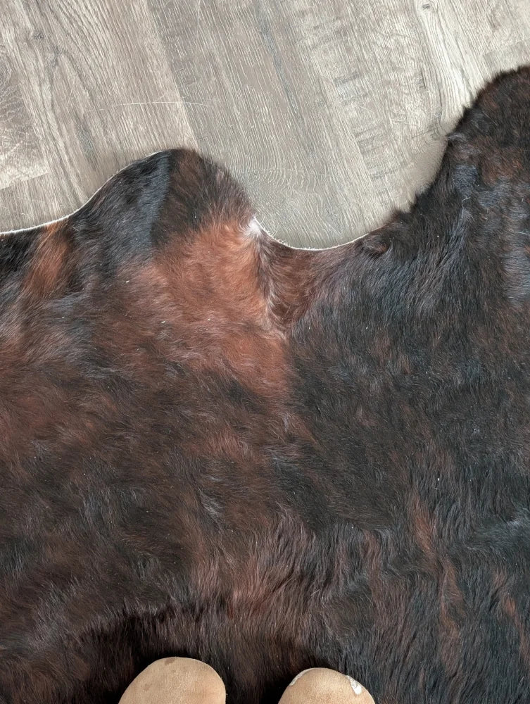 A large cowhide rug in dark brown and black with unique natural edges on a gray wood floor, perfect for beautiful rugs collections