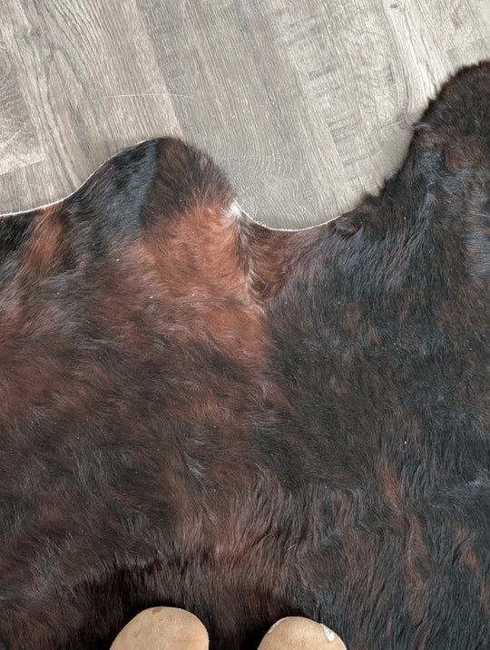 A large cowhide rug in dark brown and black with unique natural edges on a gray wood floor, perfect for beautiful rugs collections