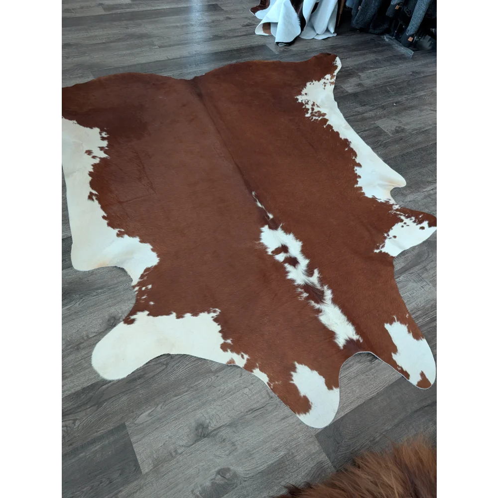 Beautiful large cowhide rug with brown and white natural patches showing unique characteristics perfect for decor