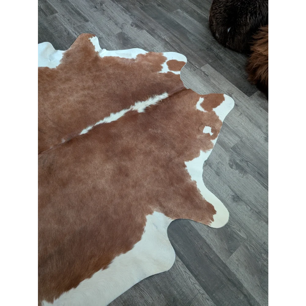 Brown and white large cowhide rug with beautiful irregular natural pattern showcasing unique characteristics