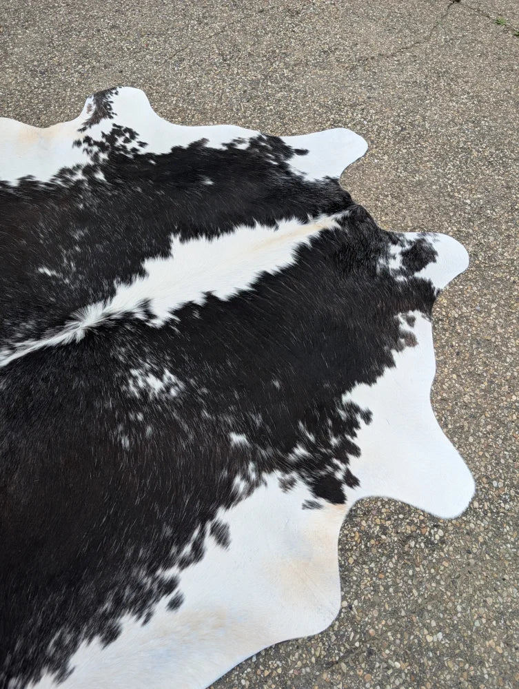 Large cowhide rug with black and white natural irregular edges showcasing unique characteristics for beautiful rugs