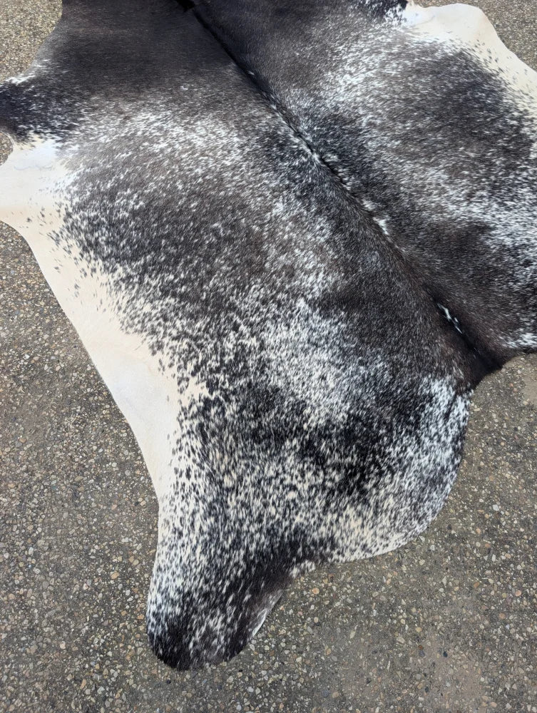 Extra large 89 by 80 black and white speckled cowhide rug with unique characteristics for beautiful rugs and large cowhide decor