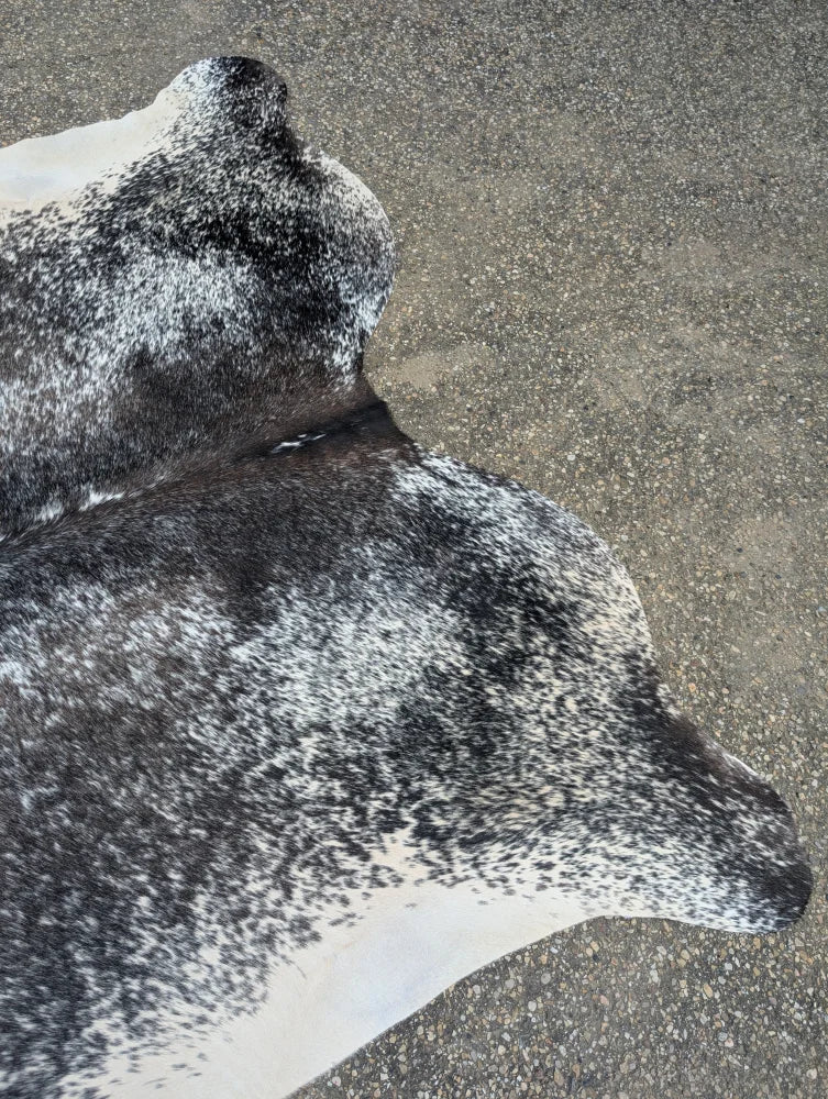 Extra large black and white speckled cowhide rug with natural edges showcasing unique characteristics for beautiful rugs