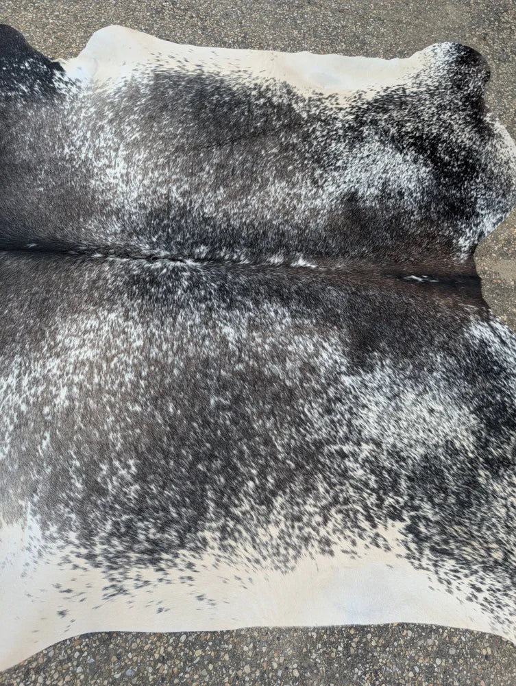 Extra large black and white cowhide rug with a beautiful speckled pattern showcasing unique characteristics