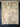 Cowhide Area Rug #13❤️❤️❤️(4’ 11’’ x 6’ 5’’) - cowhide rug