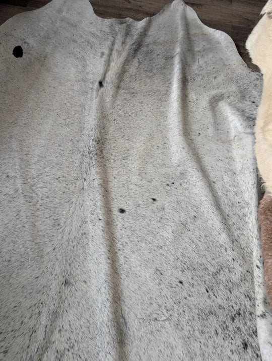 Massive 93x87 Angus Oliver cowhide rug, white black speckled, Canada