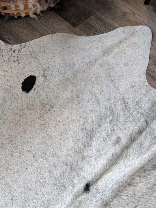 Massive 93x87 Angus Oliver cowhide rug in light gray white with black spot Canada