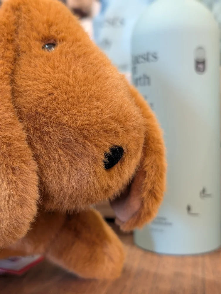 A plush tan dachshund toy with floppy ears and a black heart nose perfect for cuddling or decorating