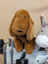 A plush brown dacshund dog with long floppy ears and soft fuzzy texture sitting on a sewing machine