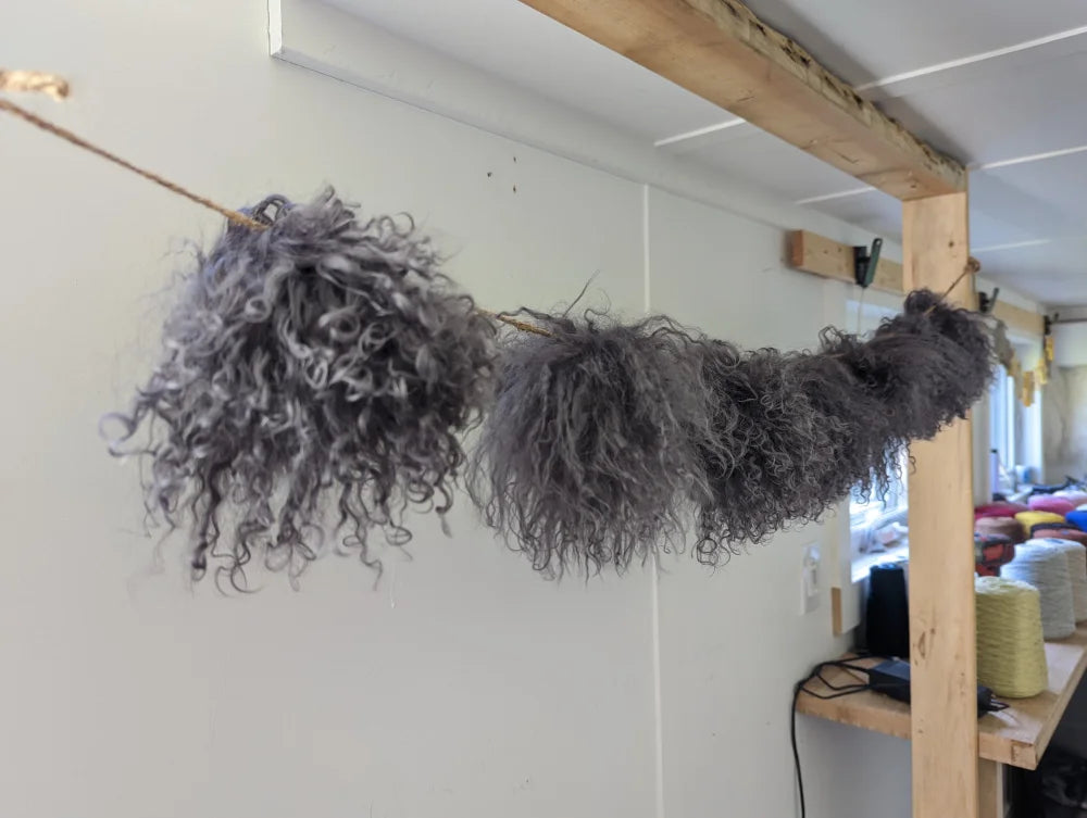 Dark grey sheepskin pom pom with gray curly wool on wooden stick