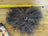 Dark grey sheepskin pom pom with grey curly hair extension and white band
