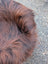 A close up of a fluffy dark brown ear on a natural black icelandic sheepskin rug with long wool arriving soon