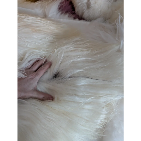 DE34❤️54" x 30" Natural White Icelandic Sheepskin