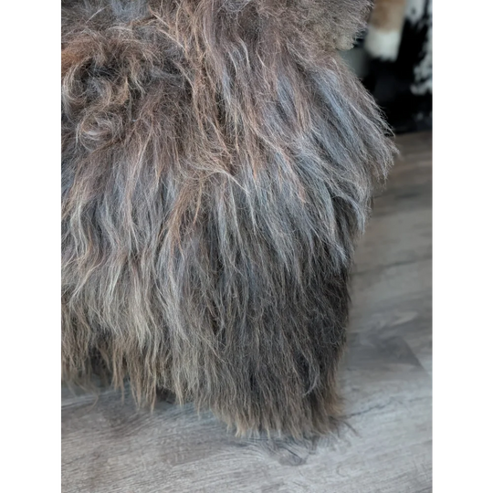 DE47❤️61" x 34" Gorgeous Massive Bronze Icelandic Sheepskin