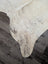 Natural white and gray speckled large cowhide rug es24 with a soft textured surface perfect for beautiful rugs